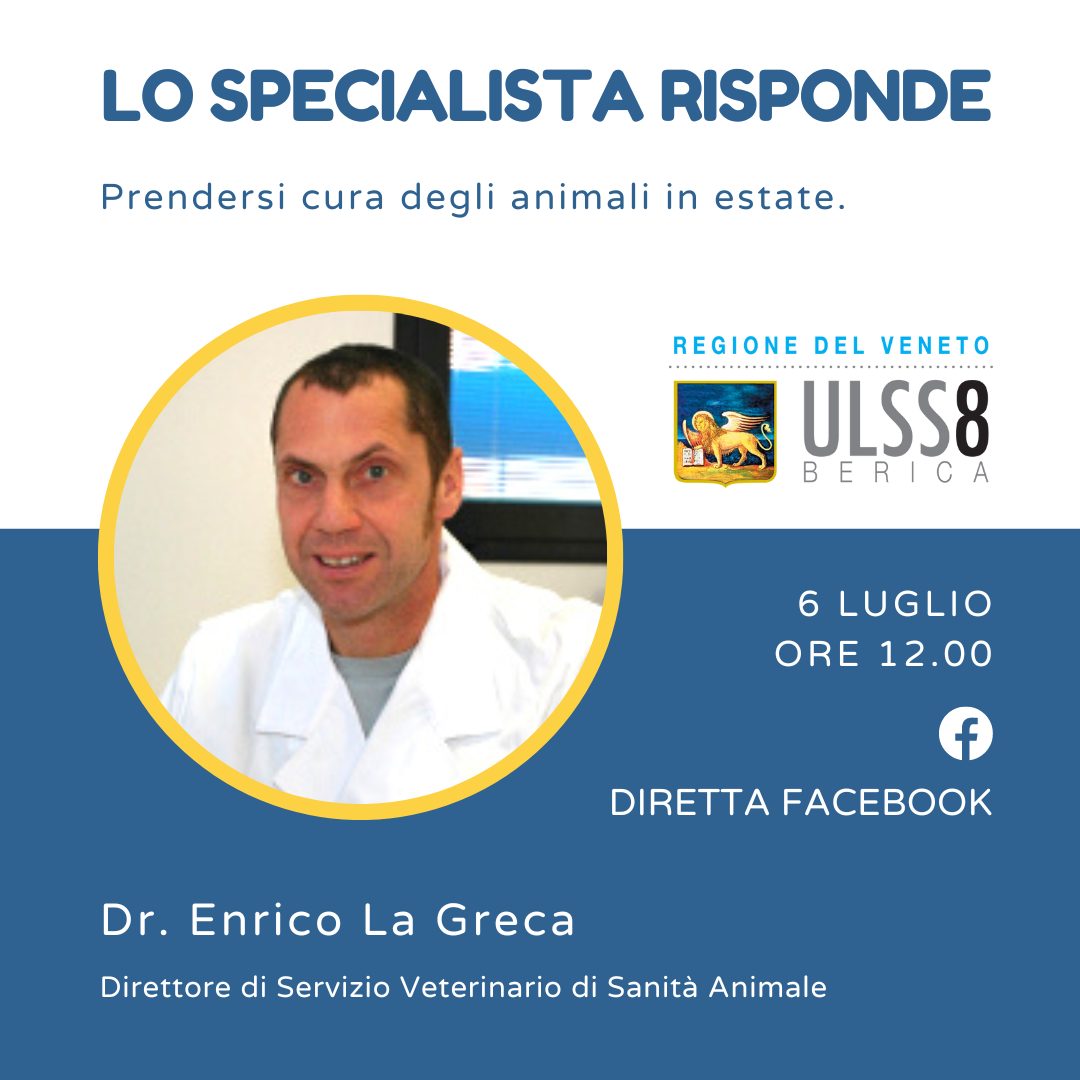 ULSS8 LO SPECIALISTA RISPONDE_LA GRECA